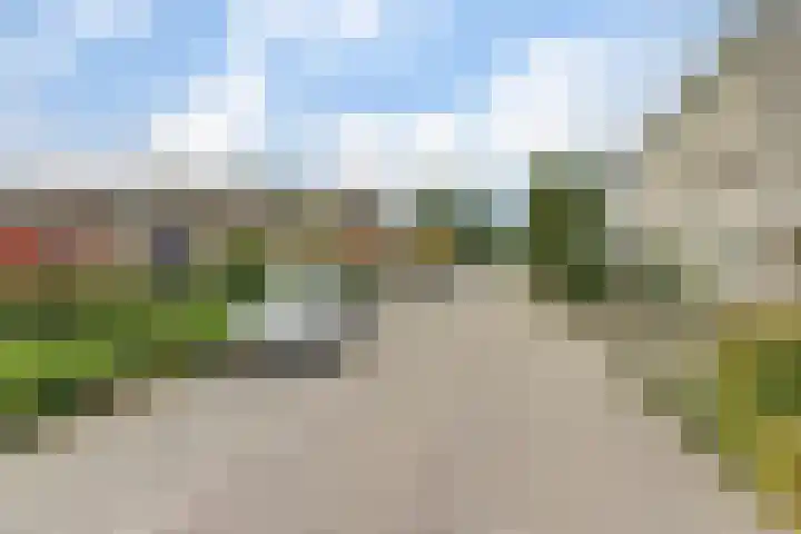 Diana 23 Bemmel thumbnail 28