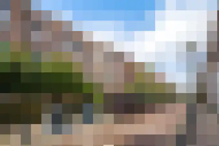 Dibbetsstraat 24 Den Haag thumbnail 32