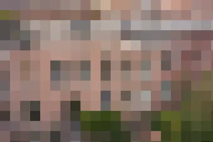 Dibbetsstraat 24 Den Haag thumbnail 34