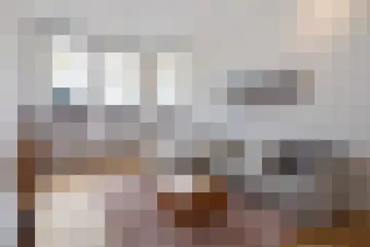 Dibbetsstraat 24 Den Haag thumbnail 8