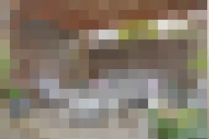 Dibbitsstraat 10 Zwaag thumbnail 31
