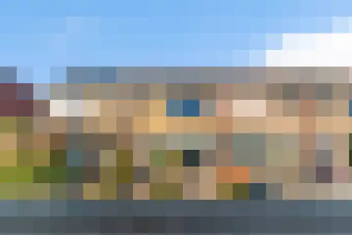 Dibbitsstraat 6 in Zwaag