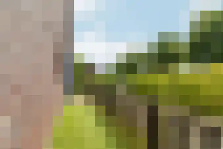Dick Bosstraat 15 Almere thumbnail 4