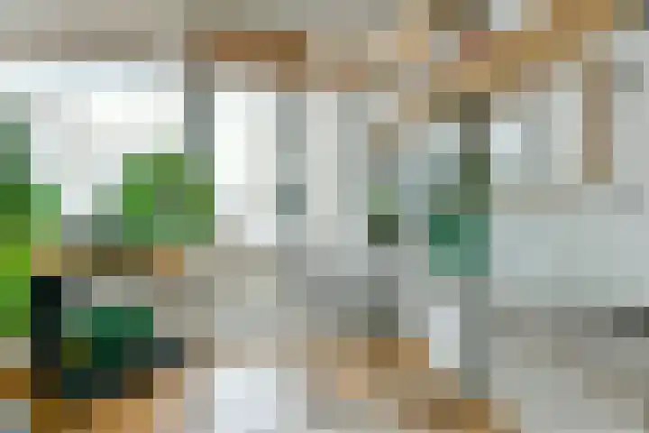Dick Greinerstraat 121 Amsterdam thumbnail 7