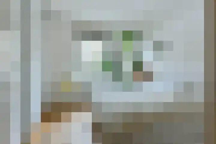 Dick Greinerstraat 121 Amsterdam thumbnail 9