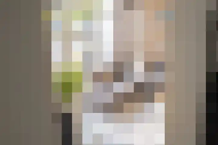 Dick Laanplein 5 Wormerveer thumbnail 14