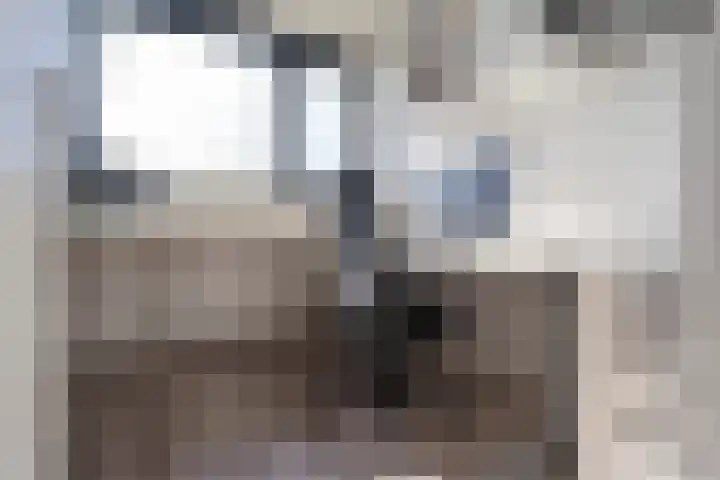 Dick Laanplein 5 Wormerveer thumbnail 25