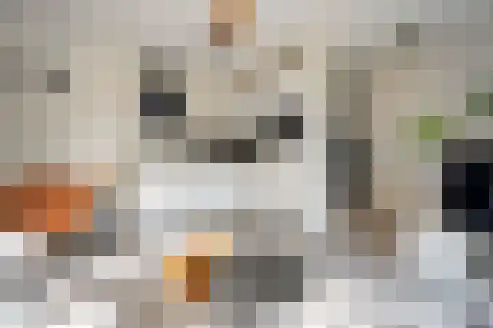 Dick Laanplein 5 Wormerveer thumbnail 4
