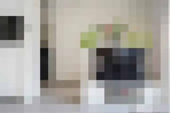 Dick Laanplein 5 Wormerveer thumbnail 5