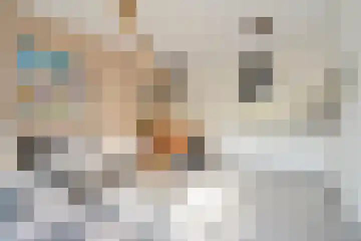 Dick Laanplein 5 Wormerveer thumbnail 9