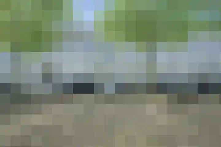 Dickenslaan 140 Amsterdam thumbnail 19
