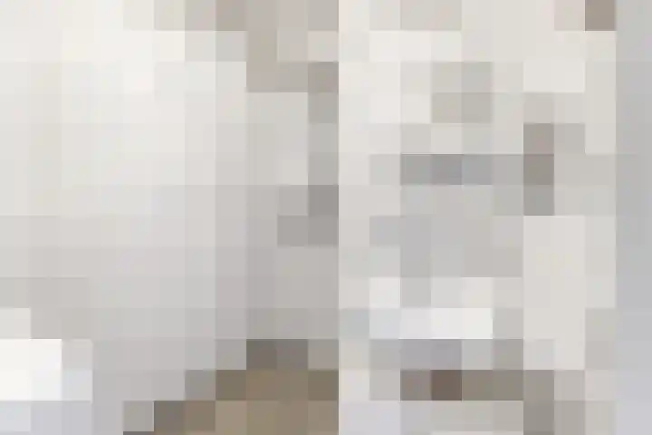 Dickenslaan 145 Amsterdam thumbnail 16