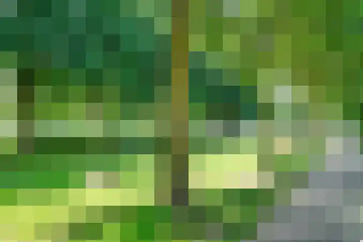 Dickenslaan 145 Amsterdam thumbnail 27
