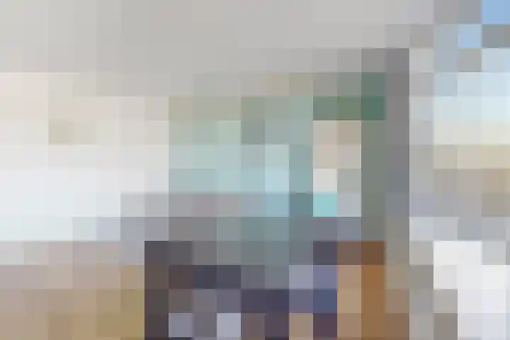 Dickenslaan 145 Amsterdam thumbnail 6
