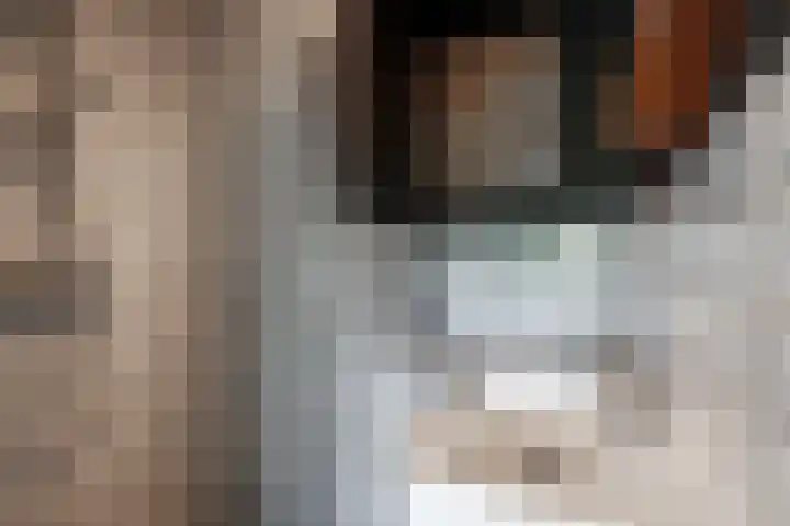 Dickenslaan 56 2 Utrecht thumbnail 13