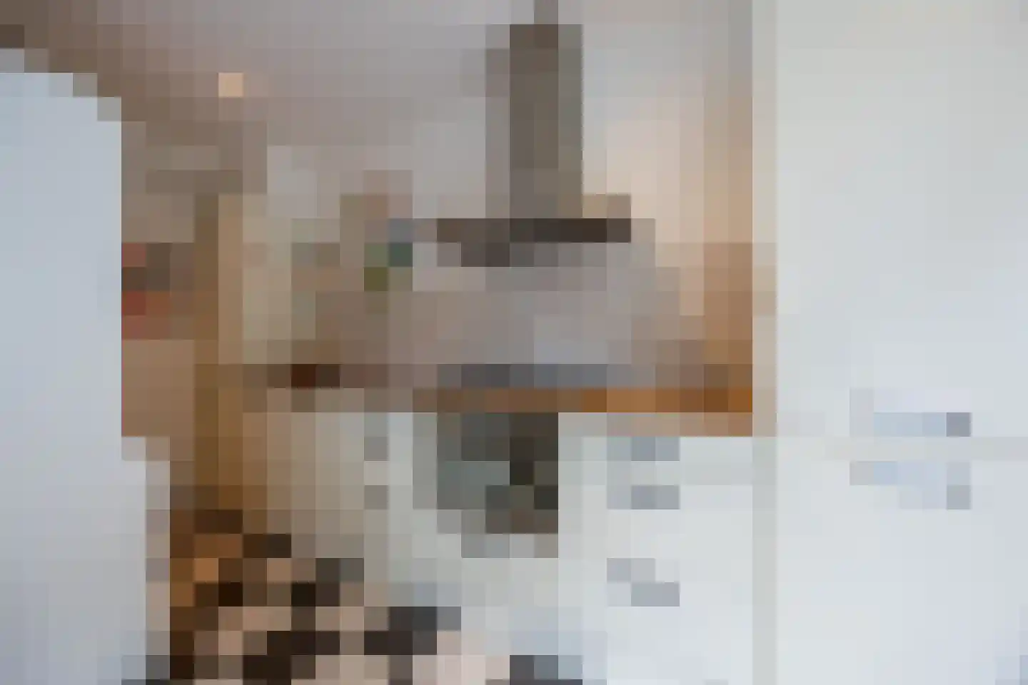 Dickmansstraat 24 Haarlem thumbnail 9