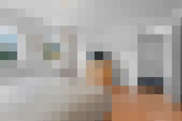 Didamseweg 2 Zevenaar thumbnail 24