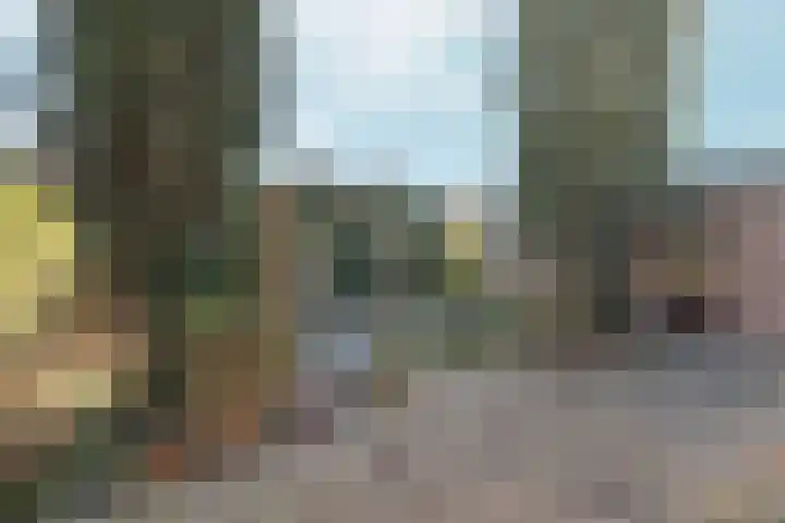 Didamseweg 2 Zevenaar thumbnail 34