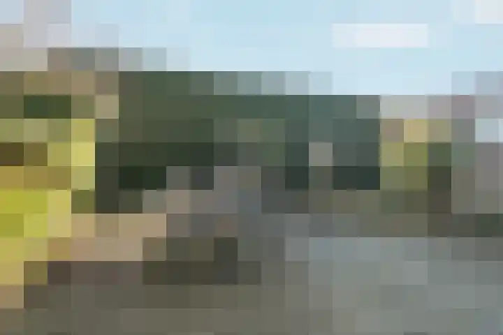 Didamseweg 2 Zevenaar thumbnail 36