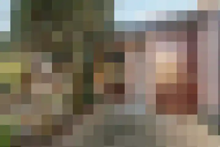 Didamseweg 2 Zevenaar thumbnail 41