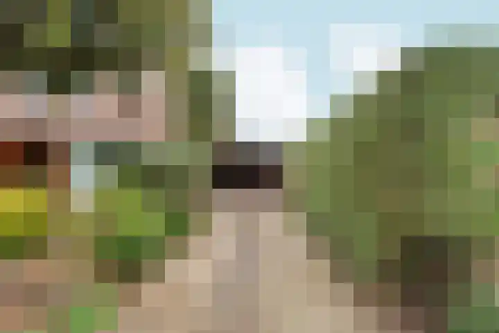 Didamseweg 2 Zevenaar thumbnail 47