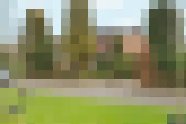 Didamseweg 2 Zevenaar thumbnail 48