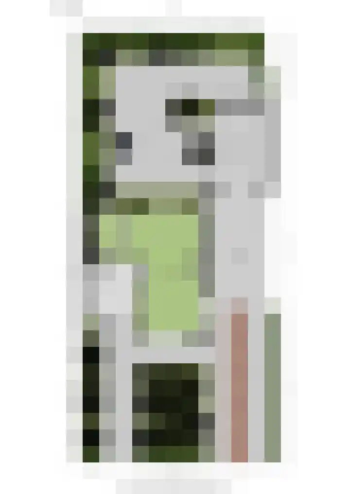 Didamseweg 2 Zevenaar thumbnail 66