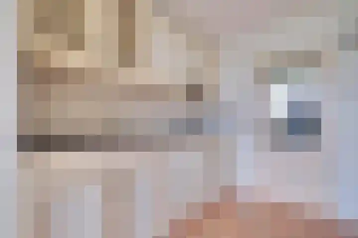 Didamseweg 22 Zevenaar thumbnail 13