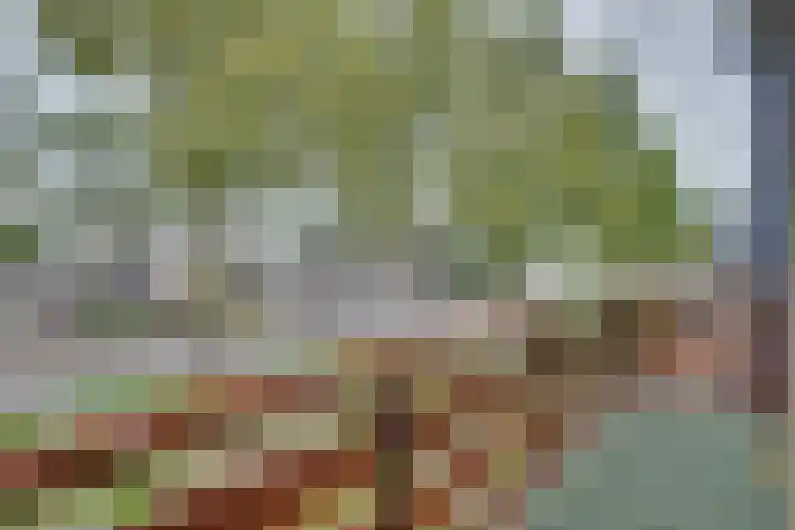 Didamseweg 22 Zevenaar thumbnail 24