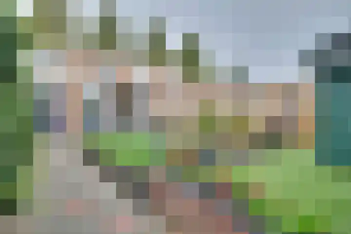 Didamseweg 22 Zevenaar thumbnail 29