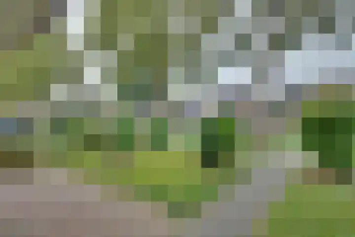 Didamseweg 22 Zevenaar thumbnail 4