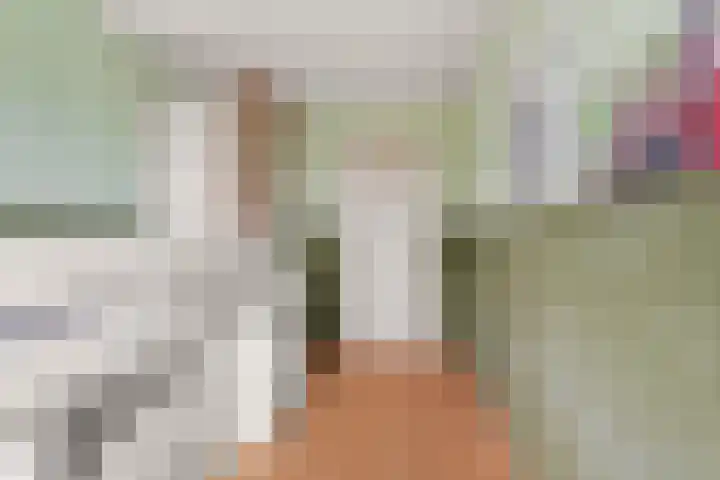Didamseweg 46 Zevenaar thumbnail 22