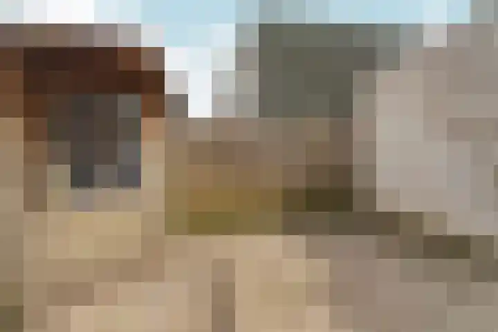 Didamseweg 46 Zevenaar thumbnail 30