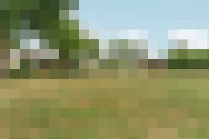 Didamseweg 46 Zevenaar thumbnail 32