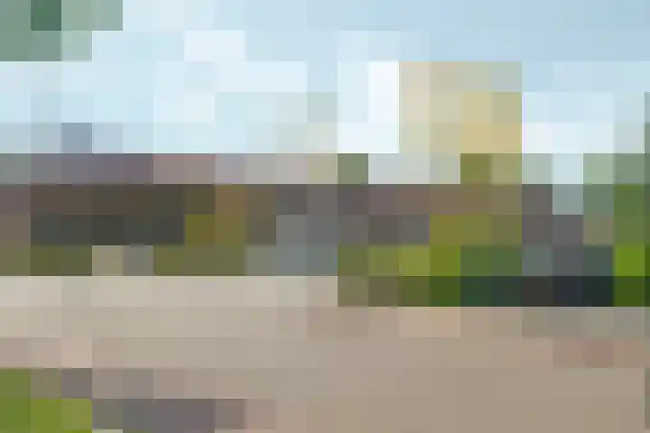 Didamseweg 46 Zevenaar thumbnail 33