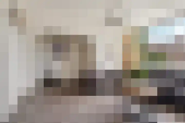Didamseweg 46 Zevenaar thumbnail 8