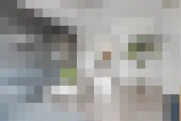 Didamseweg 50 Zevenaar thumbnail 8