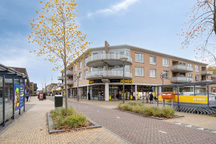 Diderna 20 in Dieren foto