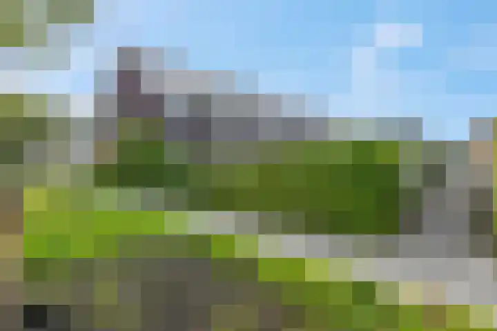 Diedenweg 68 Ede thumbnail 27