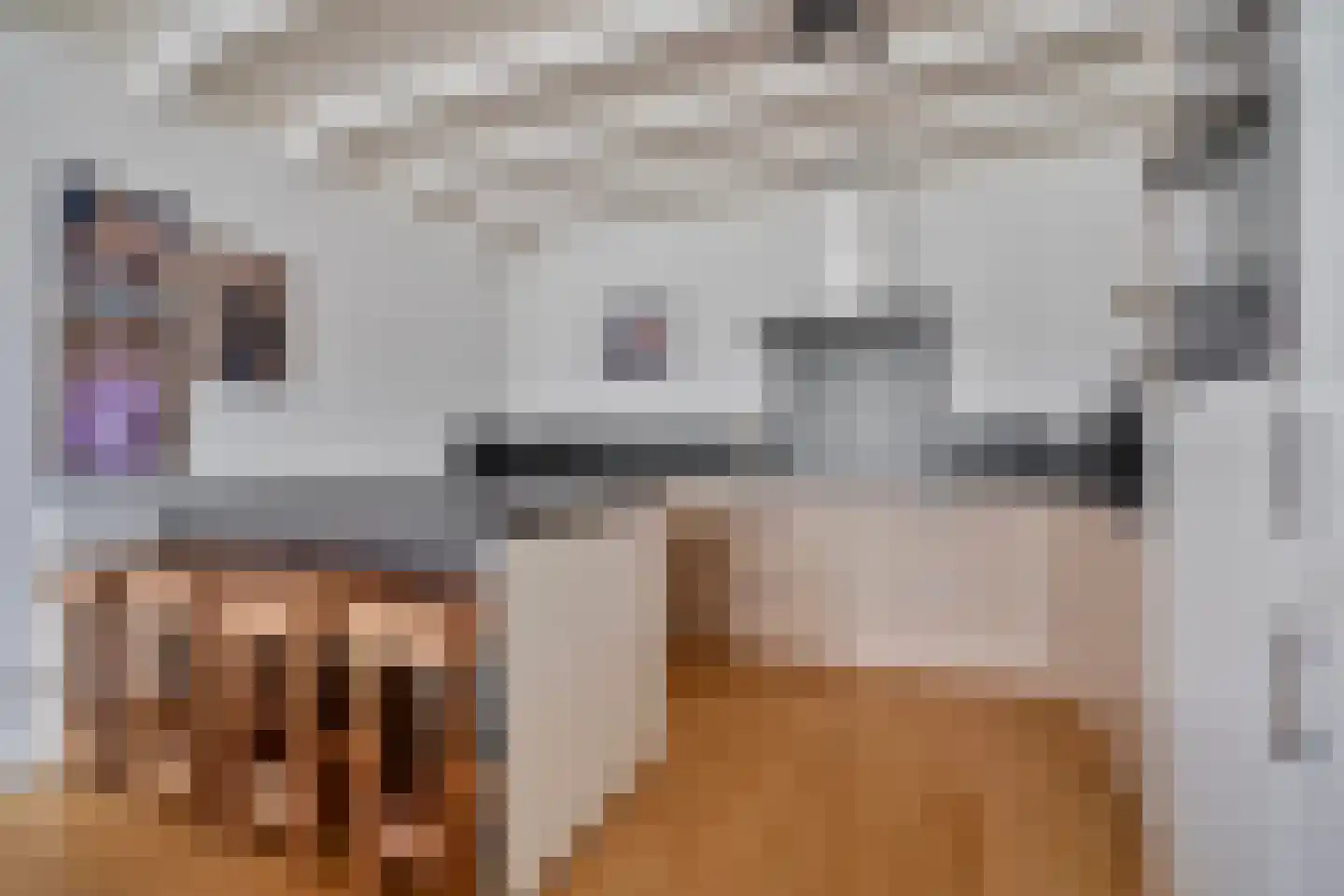 Diederikstraat 10 Gemert thumbnail 12