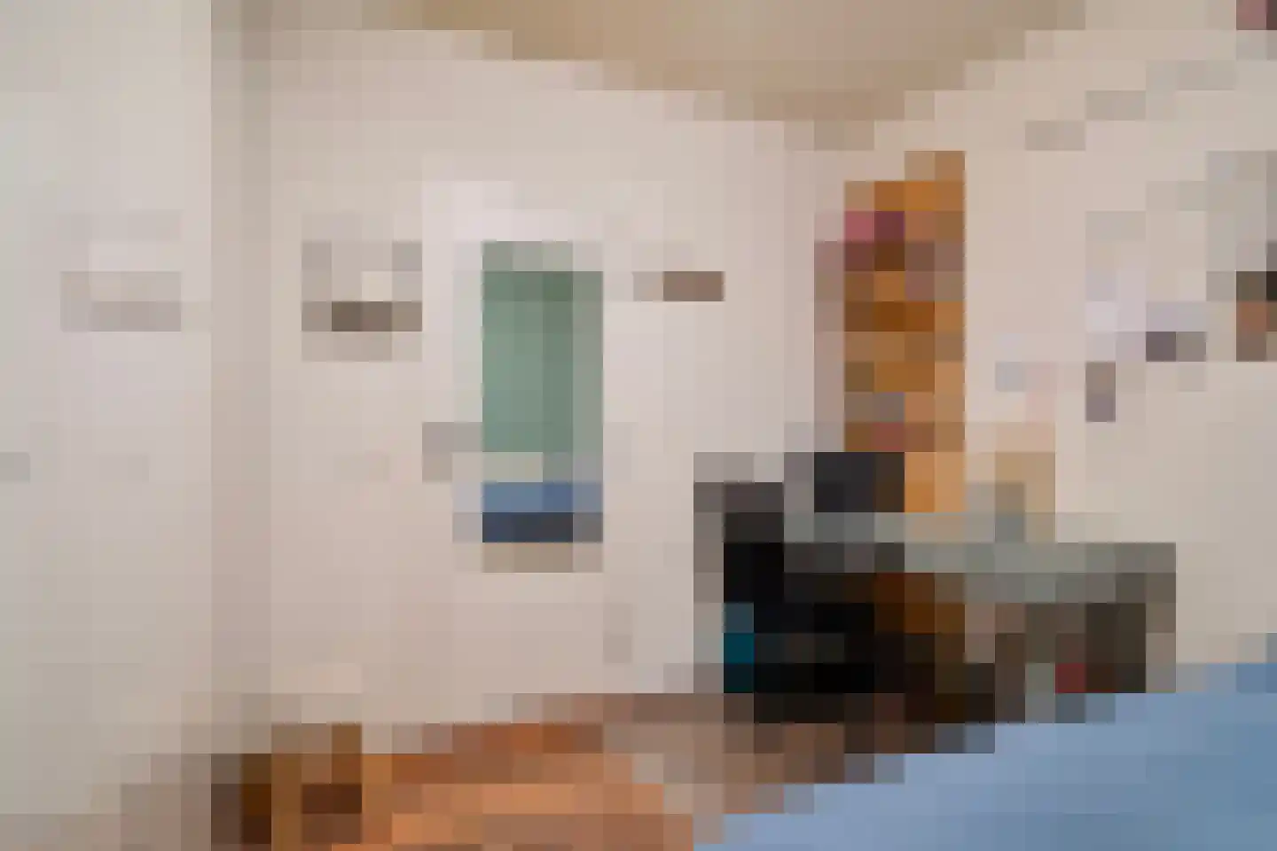 Diederikstraat 10 Gemert thumbnail 17