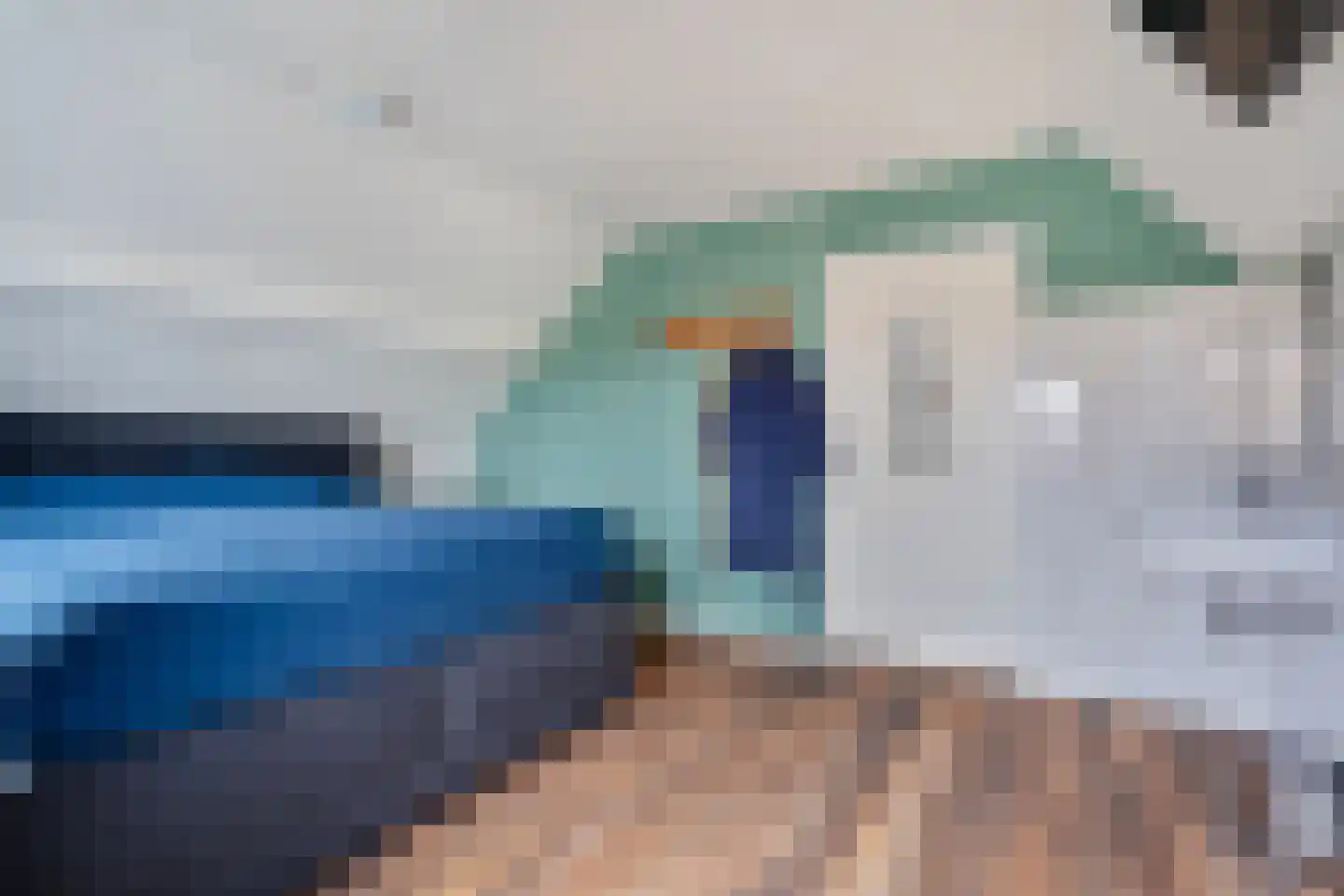 Diederikstraat 10 Gemert thumbnail 28