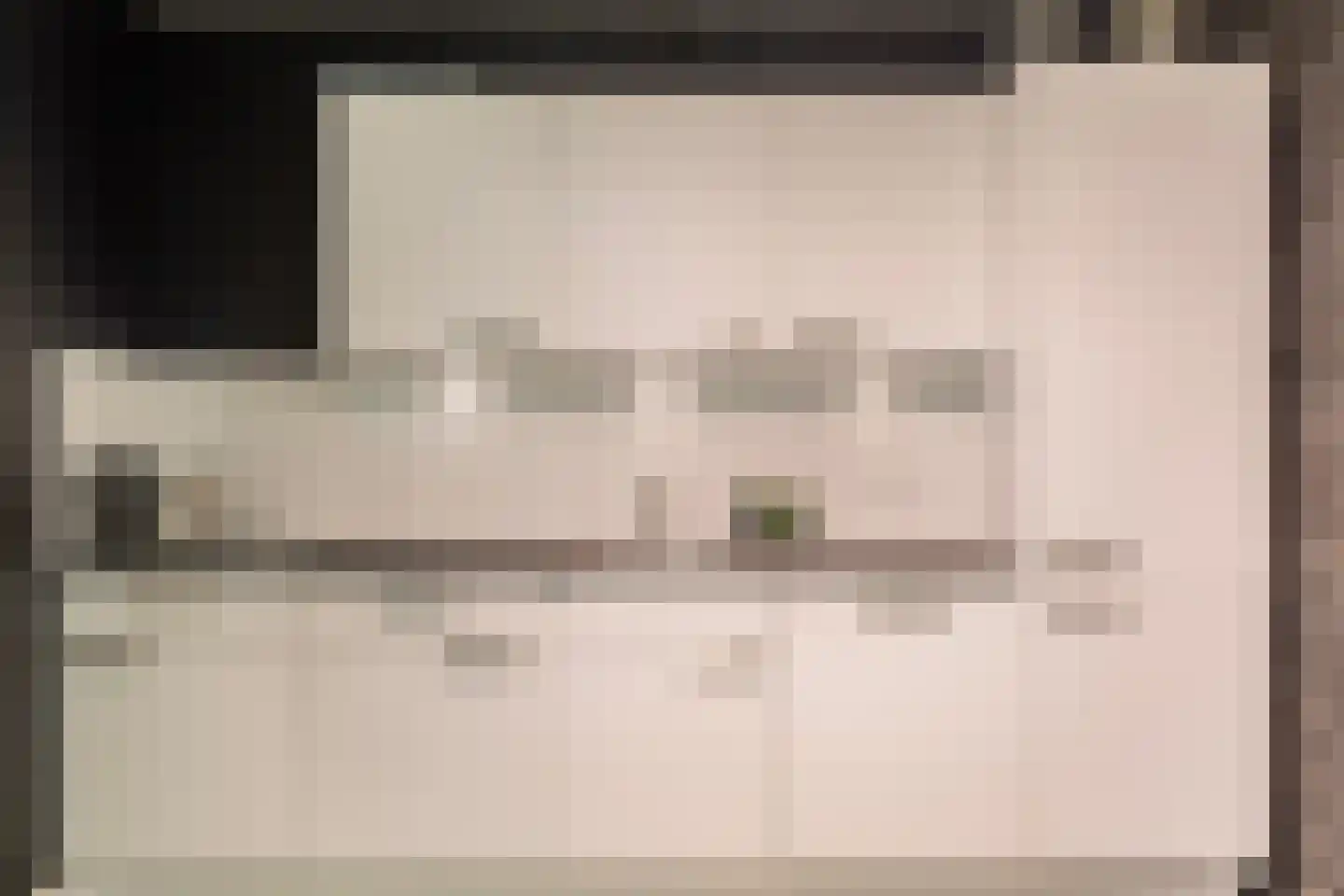 Diederikstraat 10 Gemert thumbnail 36