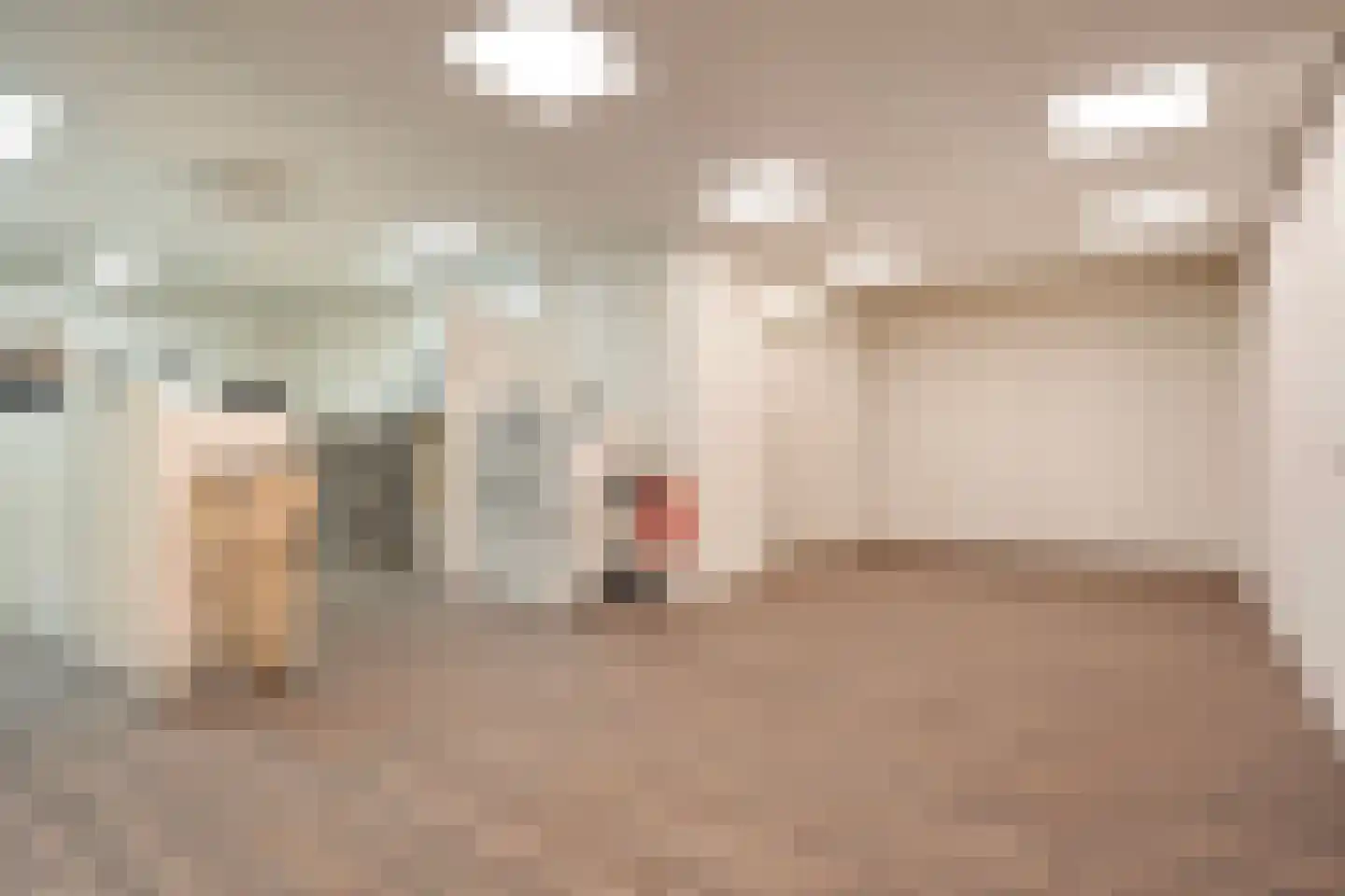 Diederikstraat 10 Gemert thumbnail 41