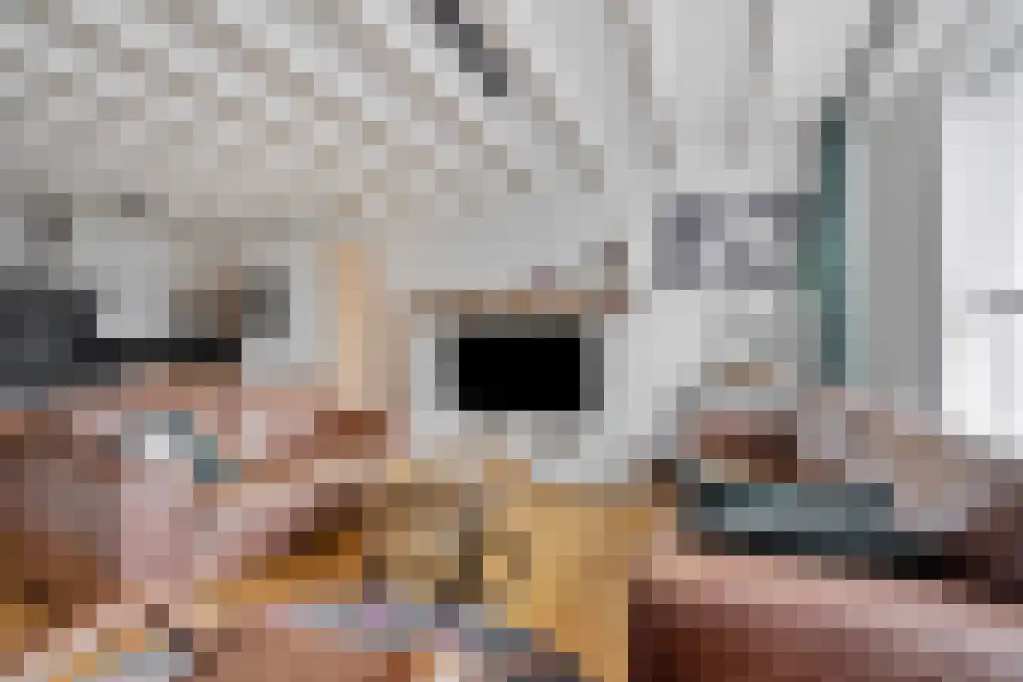 Diederikstraat 10 Gemert thumbnail 9