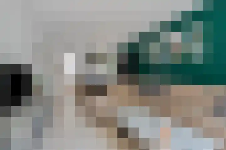 Diederikstraat 28 Gemert thumbnail 11