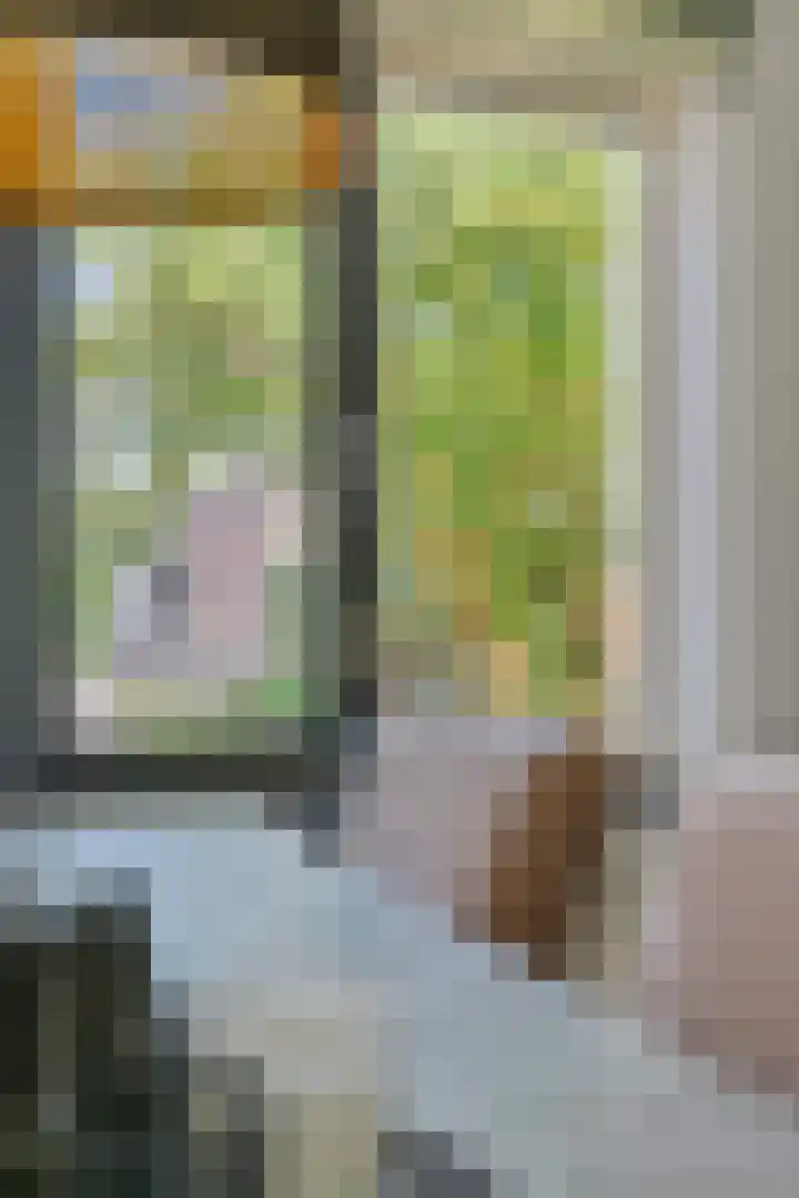 Diederikstraat 28 Gemert thumbnail 14