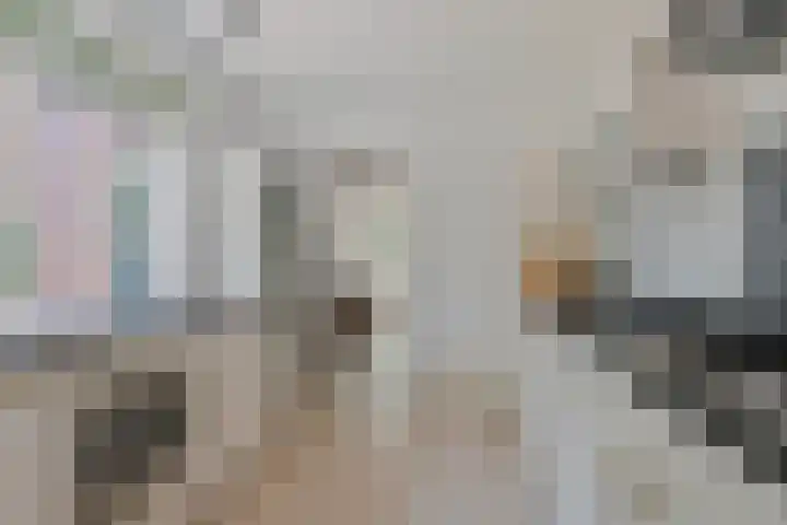 Diederikstraat 28 Gemert thumbnail 17