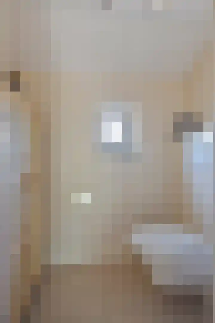 Diederikstraat 28 Gemert thumbnail 19