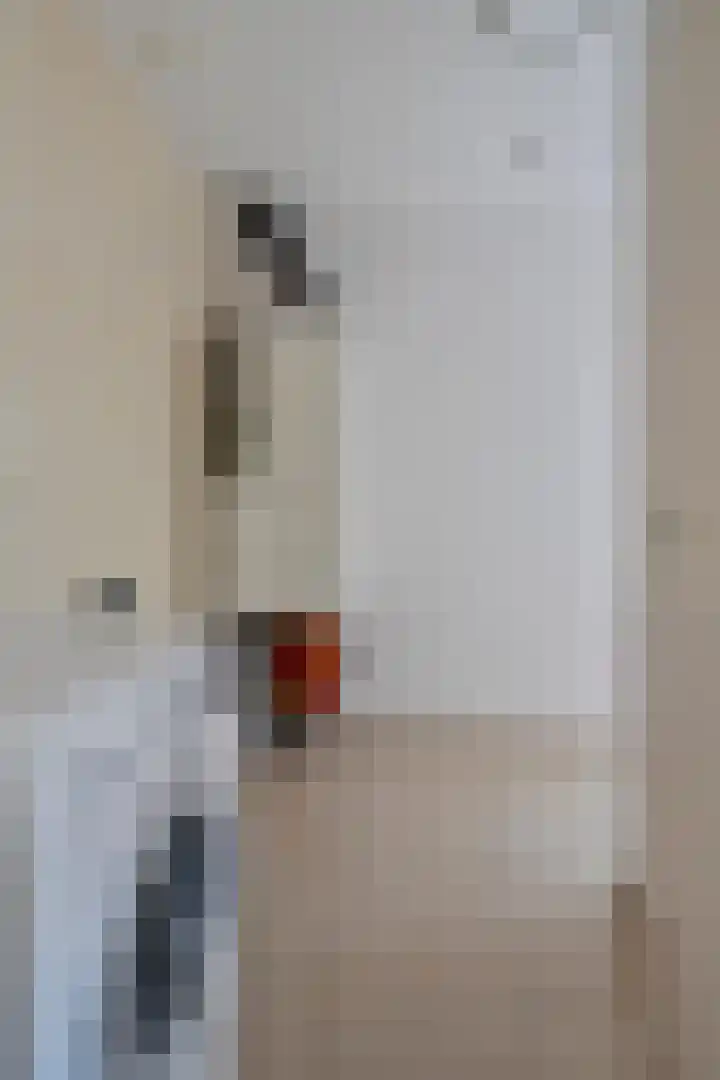 Diederikstraat 28 Gemert thumbnail 20